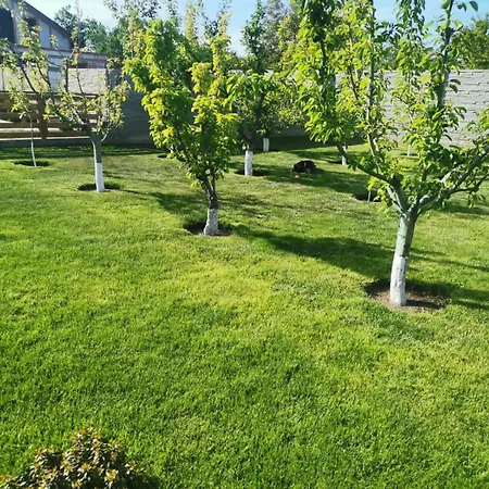 Casa Viviana Moldvabánya