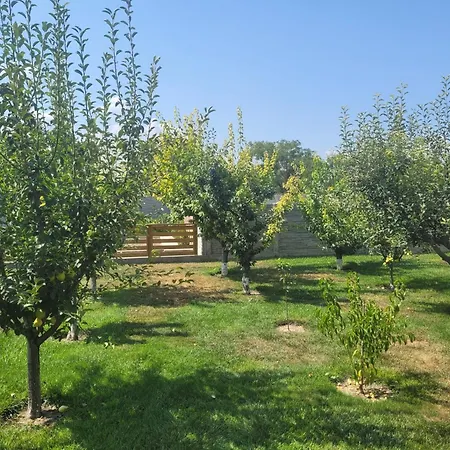 Vendégház Casa Viviana 4*